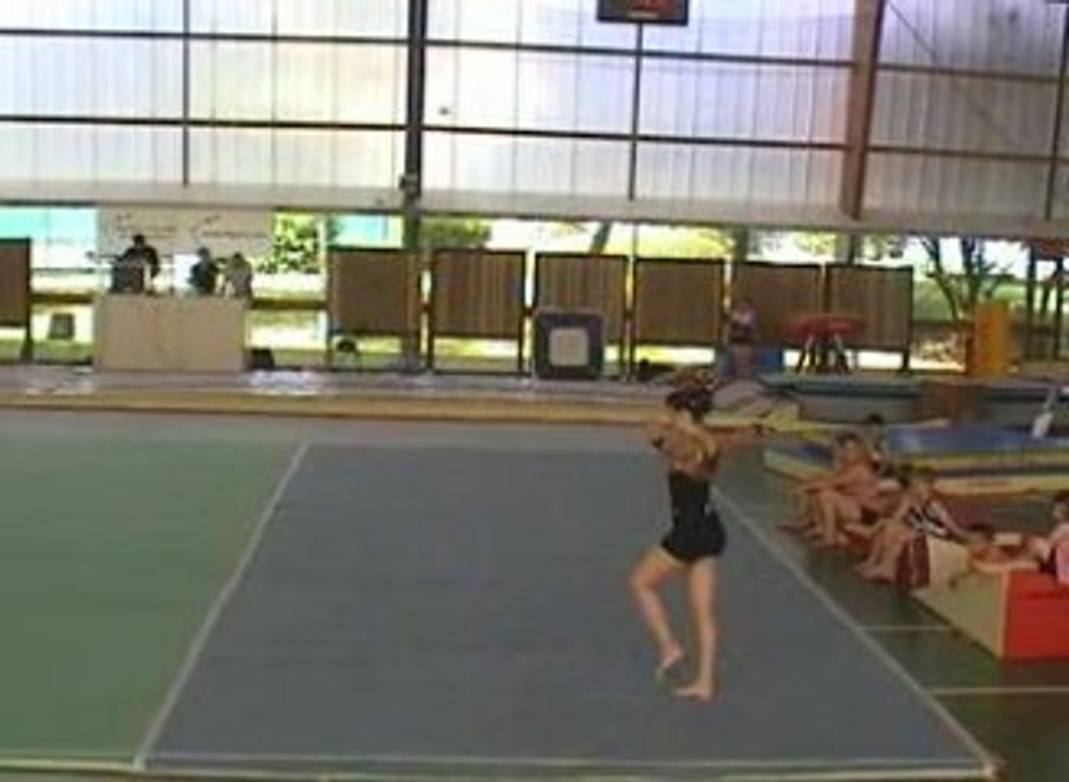 Gala villepreux 2009 gaf indiv 2ème partie