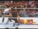 Undertaker vs hulk hogan survivor series -