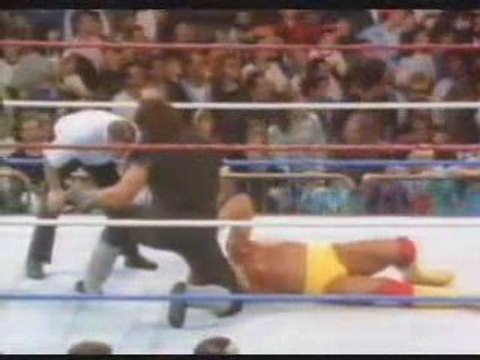 Undertaker vs hulk hogan survivor series -