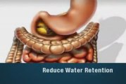 Bowtrol Colon Cleanse