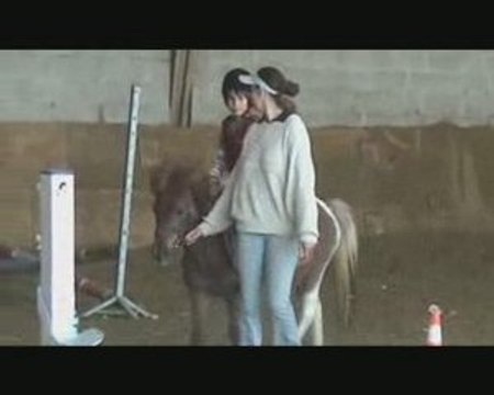 Concours equitation manon mai 2009