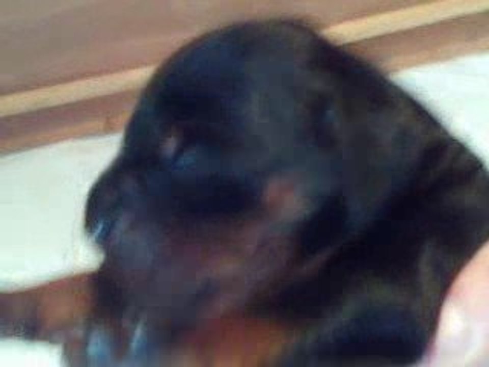 Vid000 15 06 2009