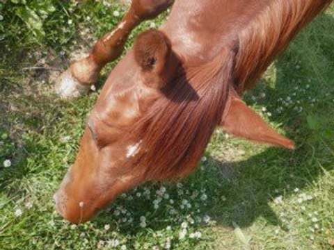 La première année avec mon Jojo