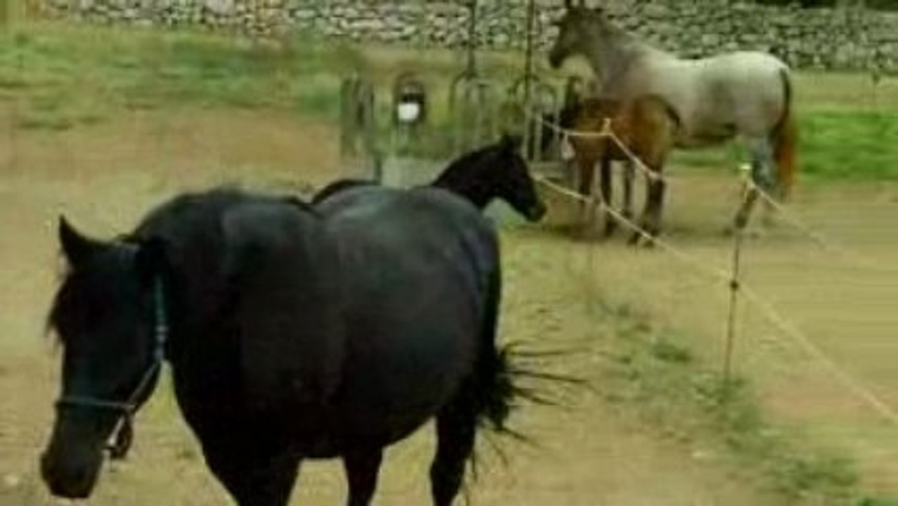 Vuelta del Soberano