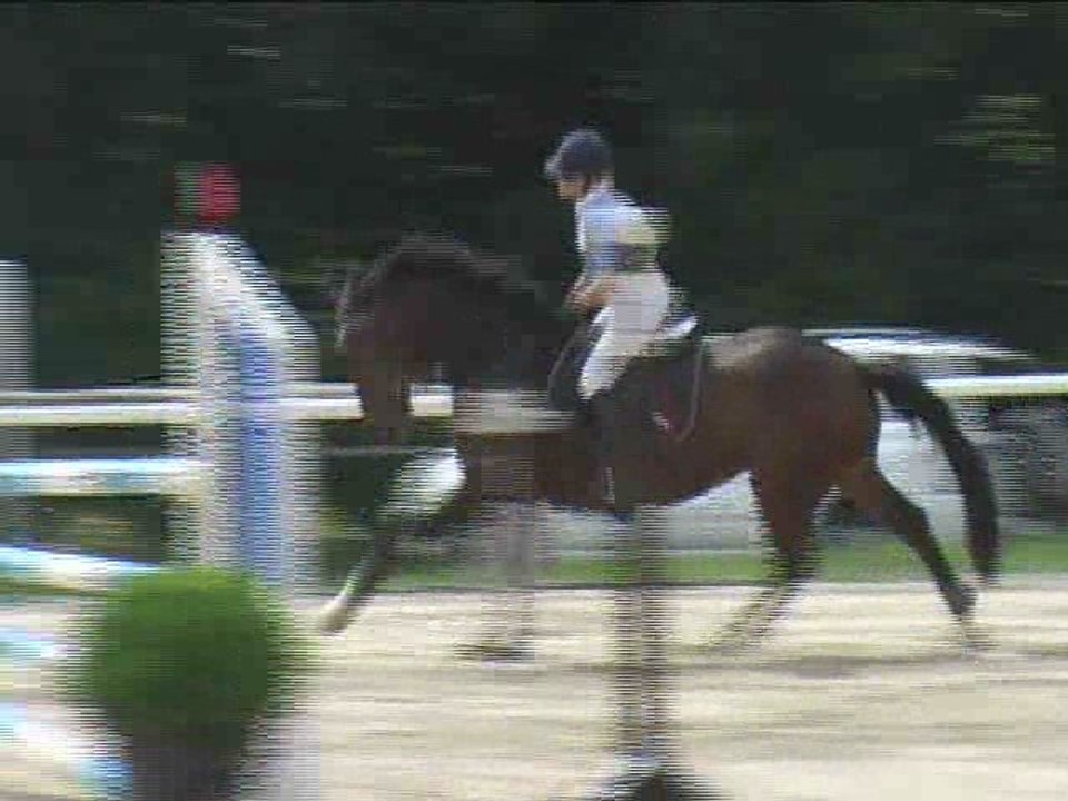 Birgit Zöchmeister, Springreiten, Laab im Walde (2008-094)