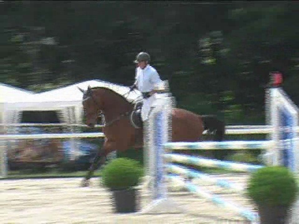 Peter Rieglhofer, Springreiten, Laab im Walde (2008-095)