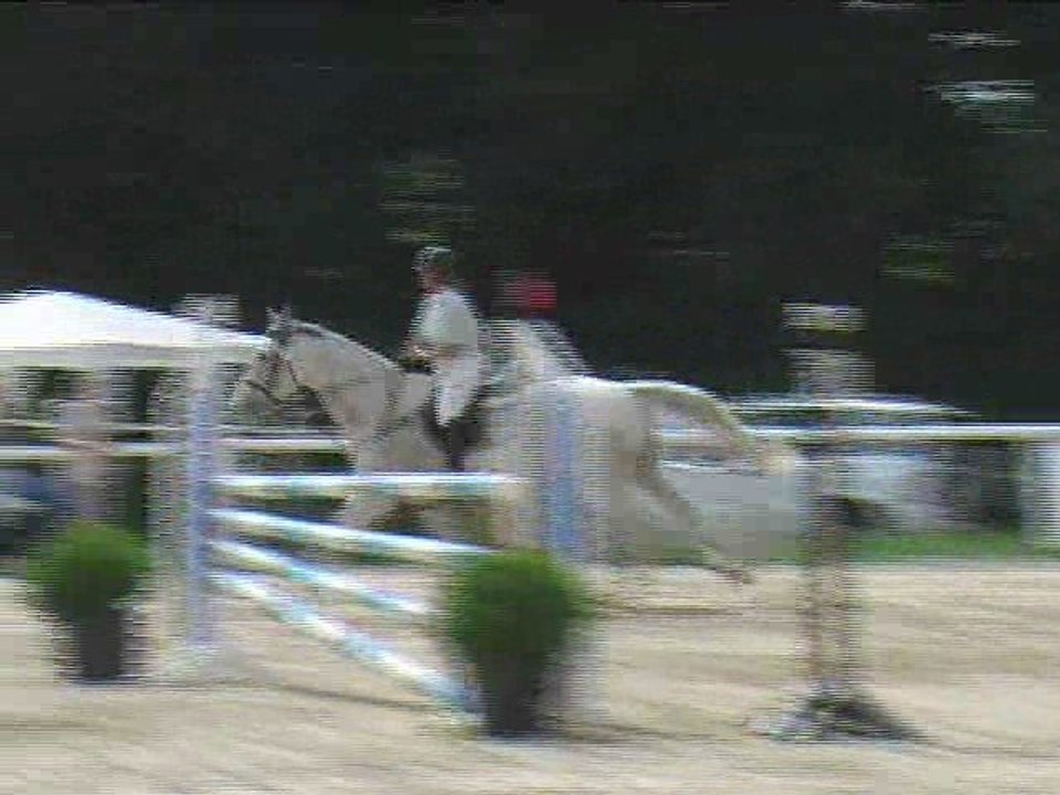 Jeannette Smejda, Springreiten, Laab im Walde (2008-098)