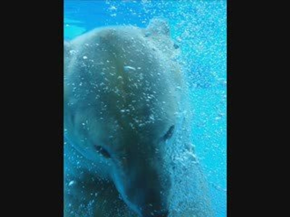 Zoo