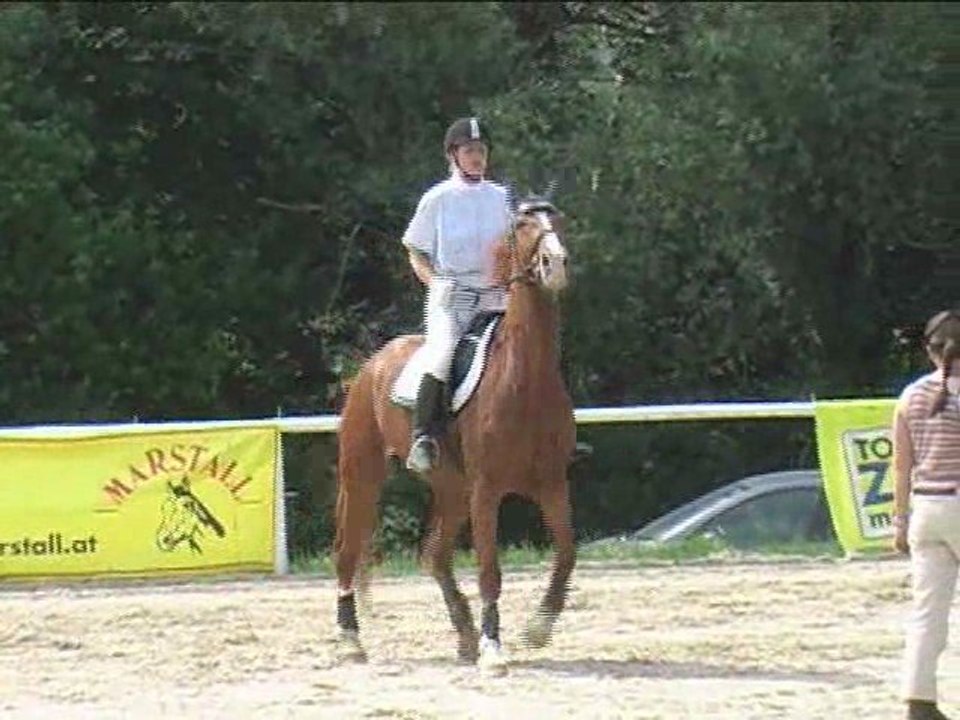 Maria Ottersböck, Springreiten, Laab im Walde (2008-100)