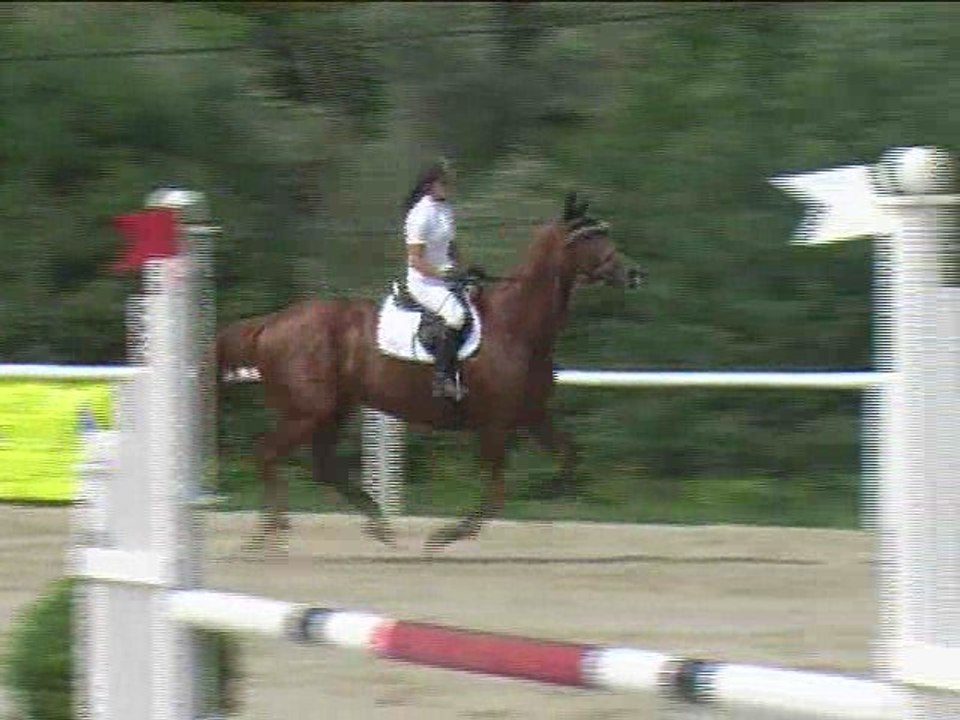 Edyta Macherzynska, Springreiten, Laab im Walde (2008-102)
