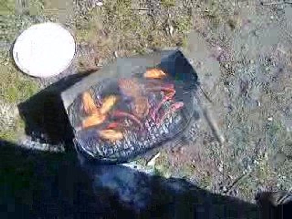 Barbecue remix i will survive avec pincettes a barbek !