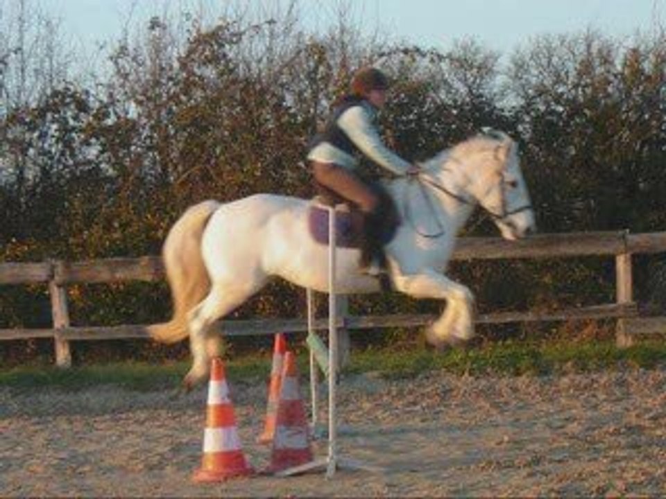 Merc-12-nov-08