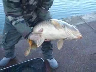 le choc des titans II