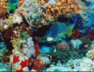 Pod wodą .. Muz.Preisner