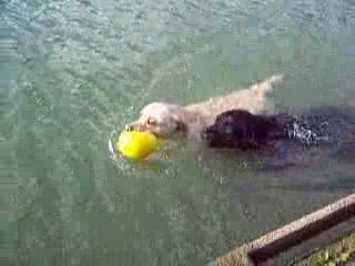 Sur les bords de marne