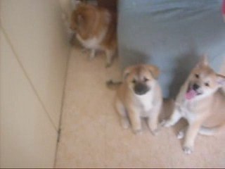 Mes petites soeurs et moi le 14 Juin 2009