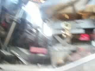 locomotion en féte 2009