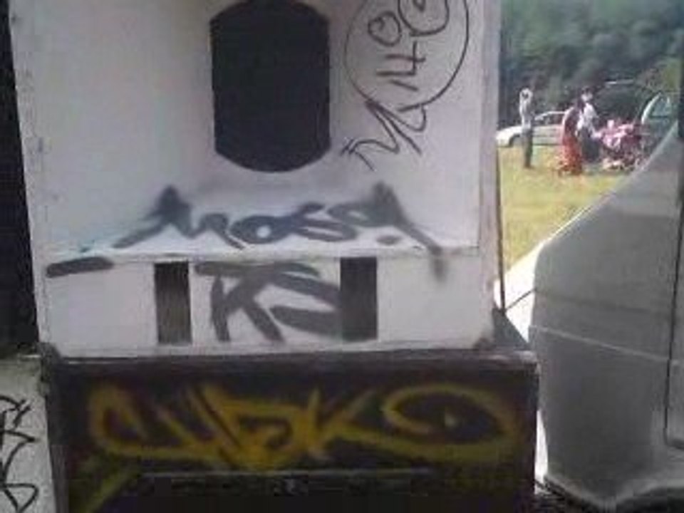 MOV00133