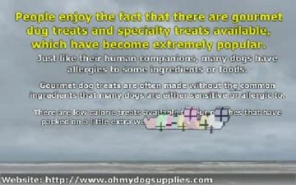 All About Dog Treats