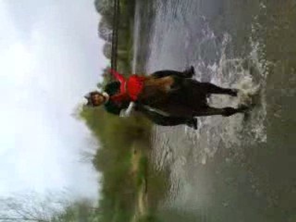 Quand les Equilandouilles barbotent...