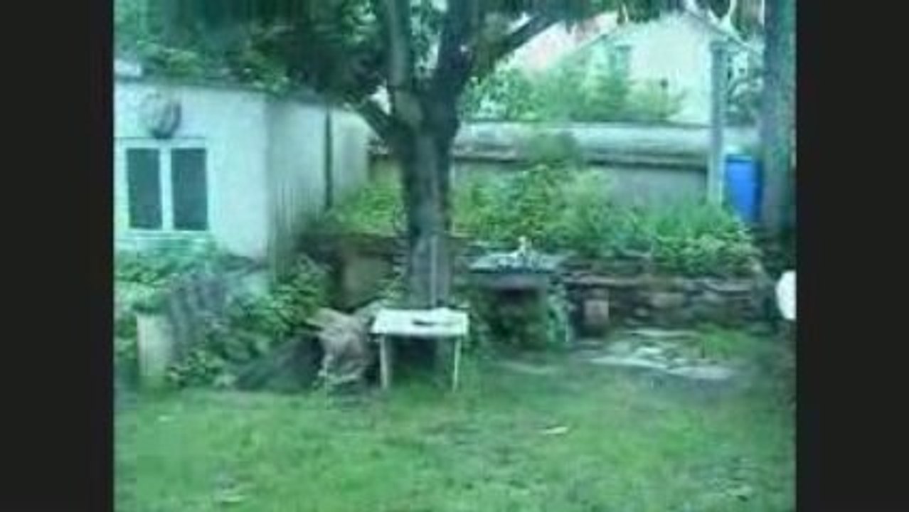Explosion2