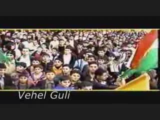 Razi Zaxoyi Islam Zaxoyi - Serkeftin