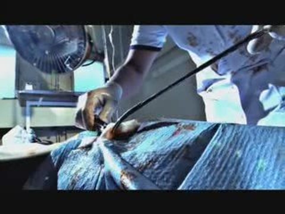 Samat feat LIM et Meiday - Est ce donc ca