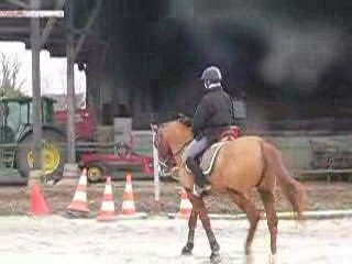 quidam mars 2009 départ au galop à main gauche