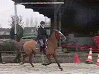 quidam mars 2009 - départ au galop à main droit