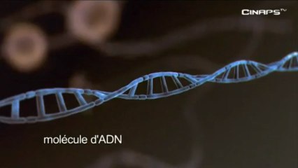 La vie cachée de nos gènes - Extrait #1