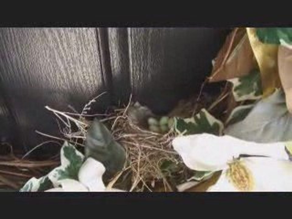 Increase Your Home's Curb Appeal