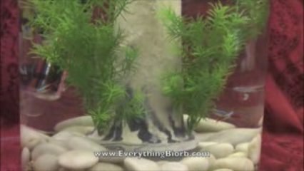 Biube Pure Aquarium & LED Light