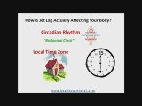 Circadian Rhythms and Jet Lag