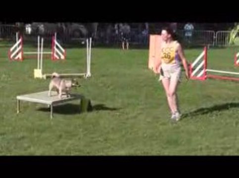 Boom Open Agility Chambery 14/06/2009