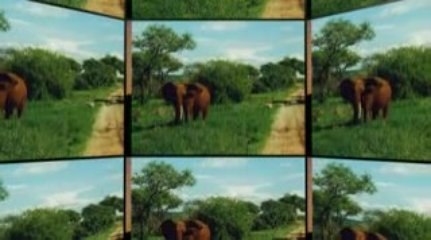 Travel Kenya Preview 🌍