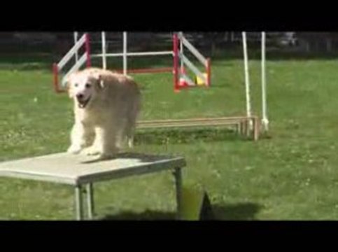 Salsa Open Agility Chambery 14/06/2009