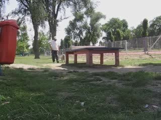 Dresaj canin Timisoara