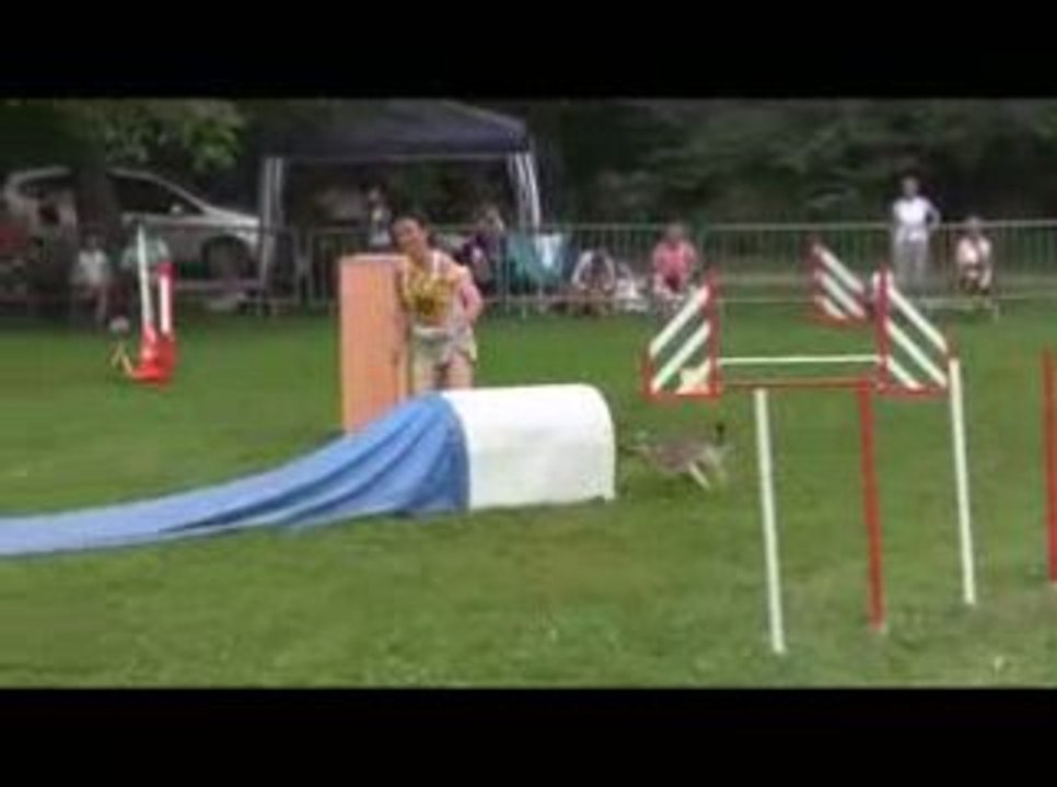 Boom Jumping Agility Chambery 14/06/2009