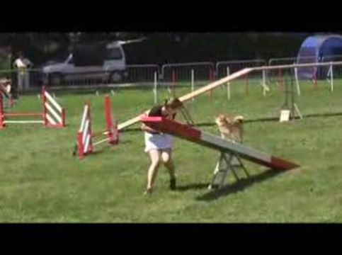Delphine Degré Agility Chambery 14/06/2009
