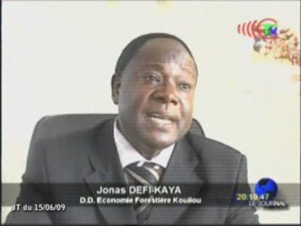 Saisie de plus de 50 mètres cubes de bois à Pointe-Noire