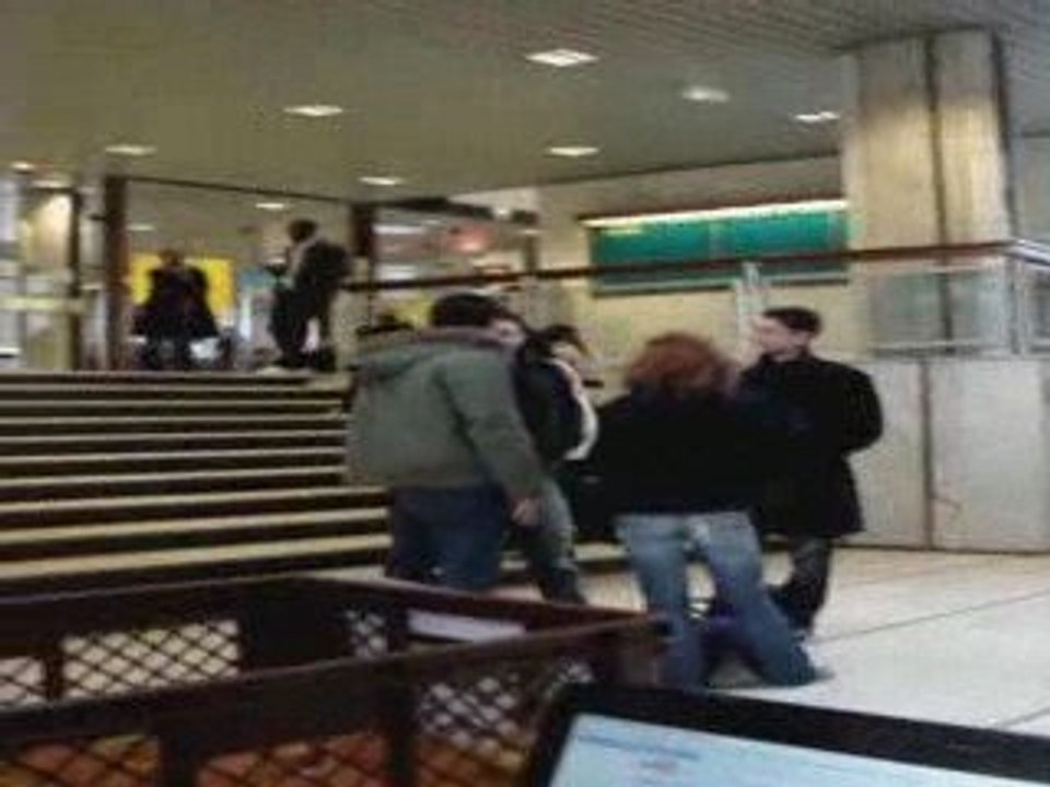 Tektonik Gorille dans la Fac de Droit