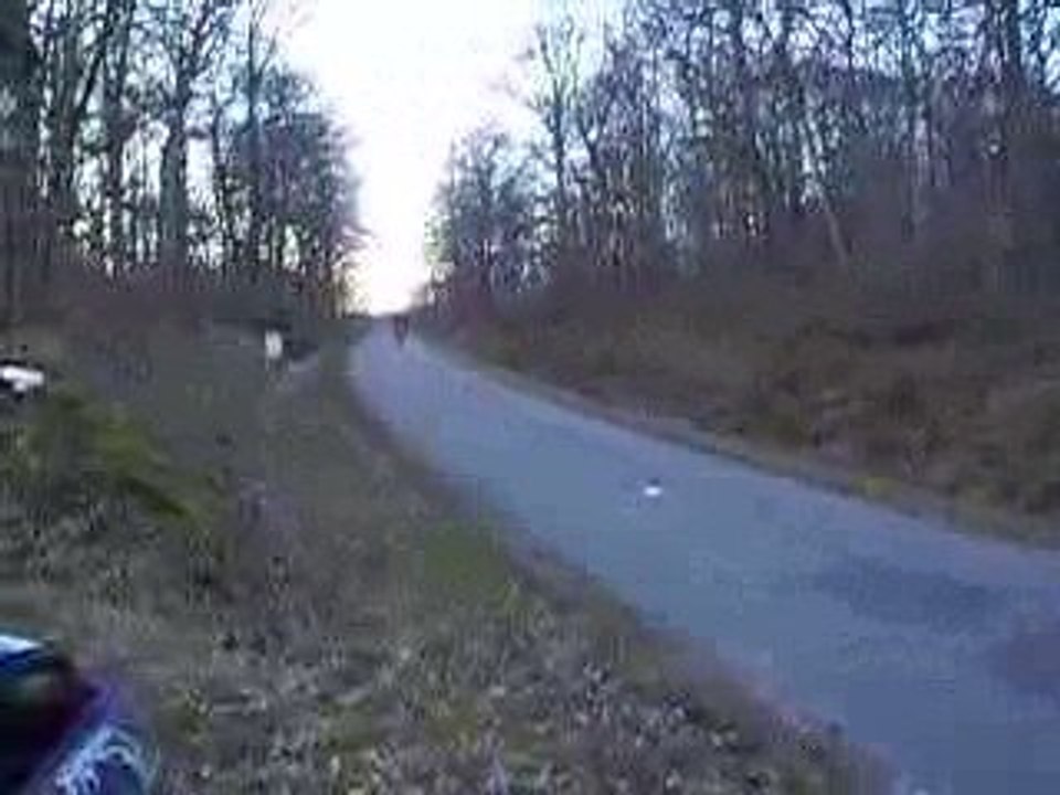 derbi polini fonte 78.5cc