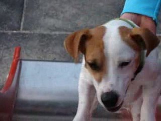 Donuts sur le tobogan 2