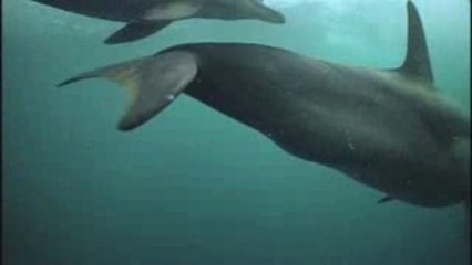 zeereservaten FINAL WEB