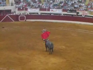 Tierco à la muleta de Rafaelillo (Escolar Gil).