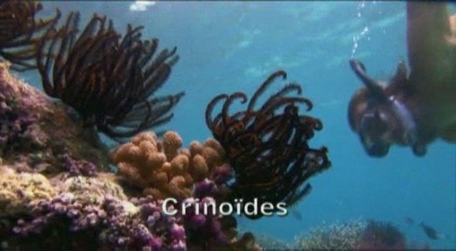 Touchez pas à la mer - Palau - Antoine