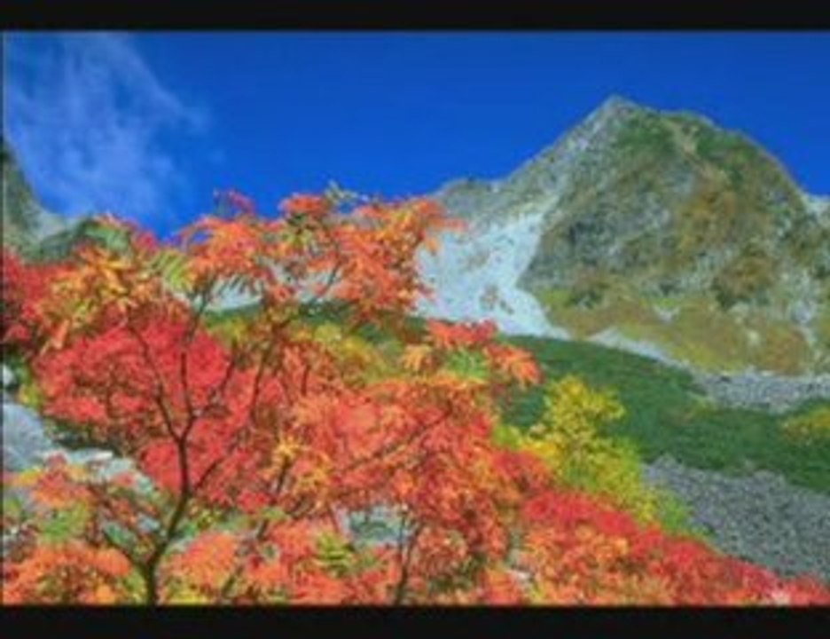 Kendi Sesinden Kur'an Tilaveti / www.feyizler.org