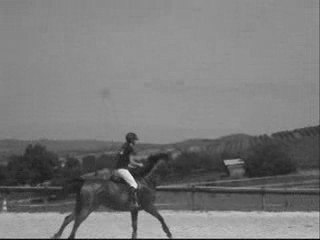 concour du 14 juin avec chanta