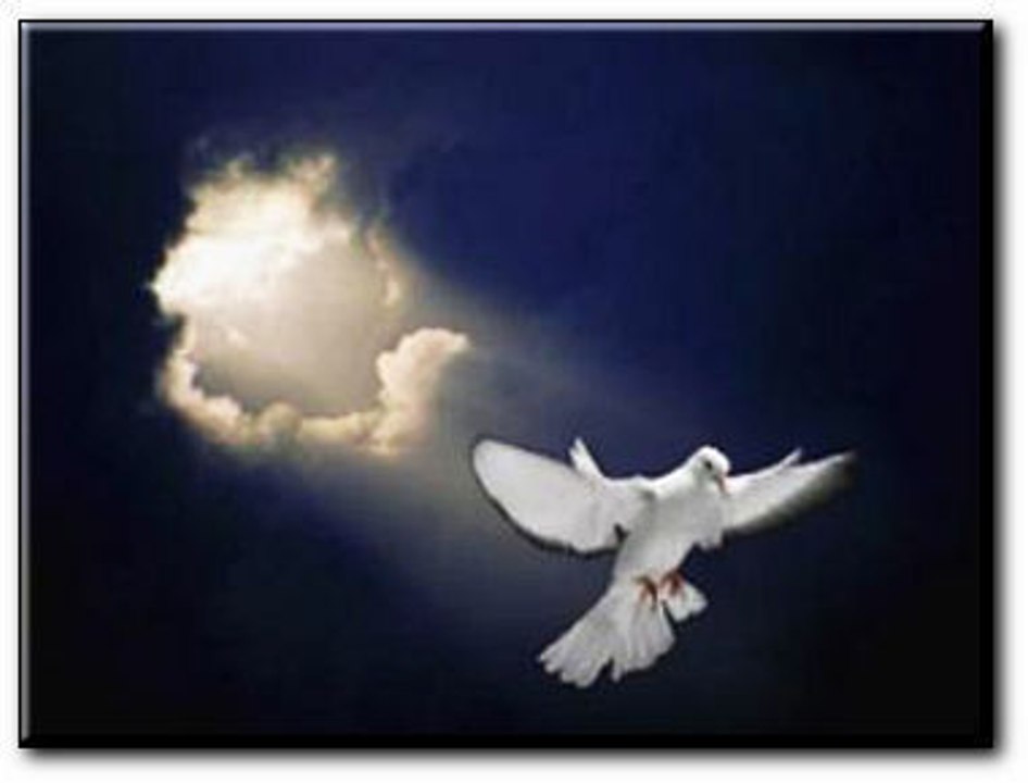 Kizito Mihigo - Vive le Rwanda, Vive la France, Vive la Paix