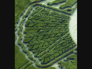 Phoenix Crop Circle May Predict End Of The World Video